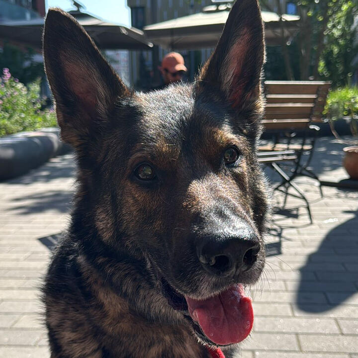 Jax